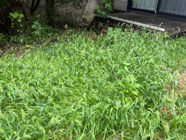 Bさん画像1 (作業前)