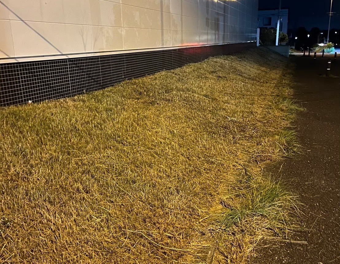 Cさん画像2 (作業後)